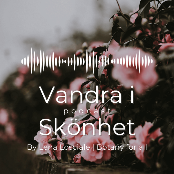 Artwork for VANDRA I SKÖNET podcast