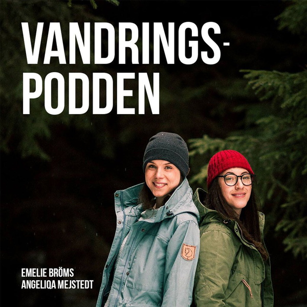 Artwork for Vandringspodden
