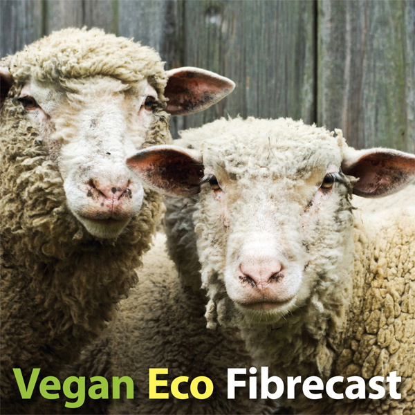 Artwork for Vegan Eco Fibrecast