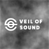 Veil of Sound Interviews