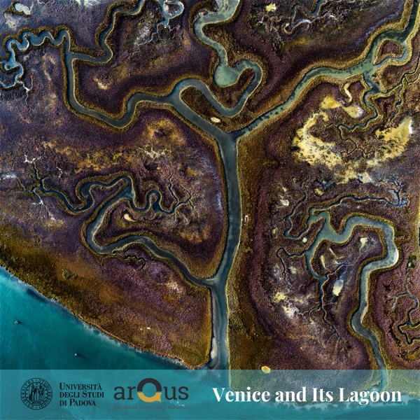 Artwork for Venice and Its Lagoon