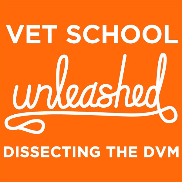 Artwork for Vet School Unleashed: Dissecting the DVM