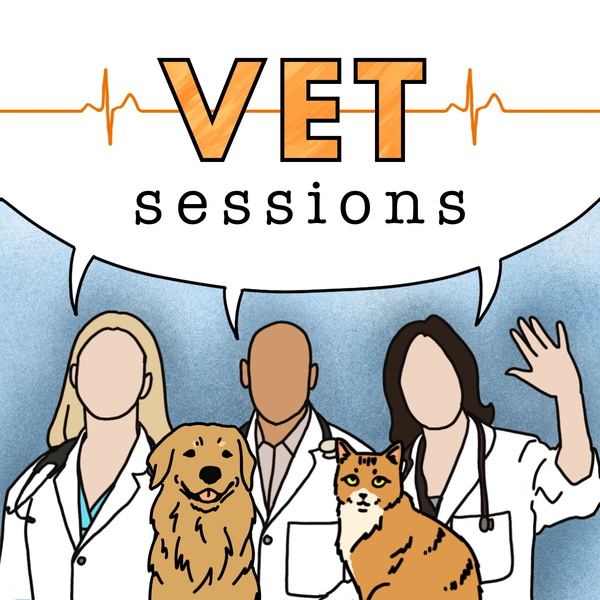 Artwork for Vet Sessions