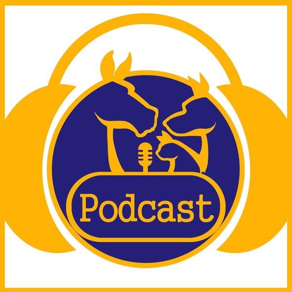 Artwork for Vet Talk the Veterinary Podcast