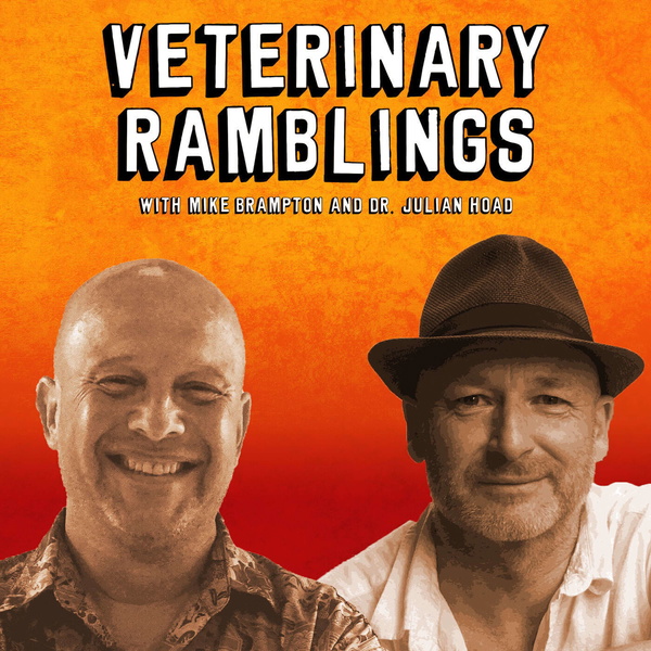 Artwork for Veterinary Ramblings