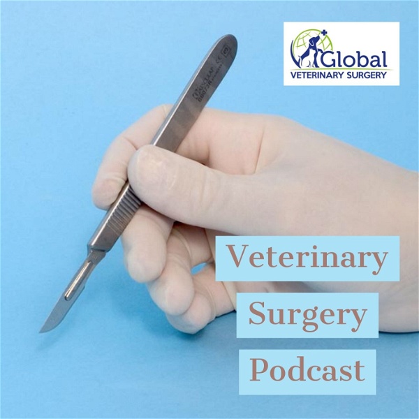 Artwork for Veterinary Surgery Podcast