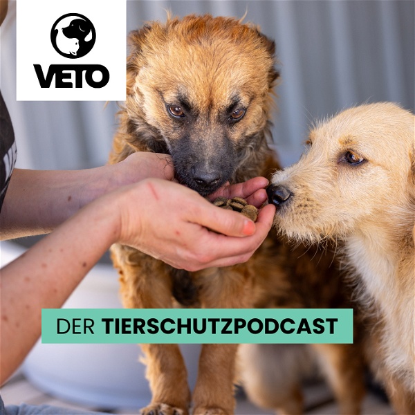 Artwork for VETO - Der Tierschutz-Podcast