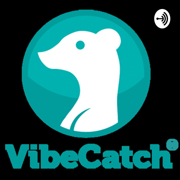 Artwork for VibeCatch Podcast