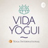 Vida Yogui