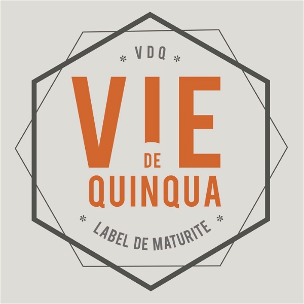 Artwork for VIE DE QUINQUA Le Podcast