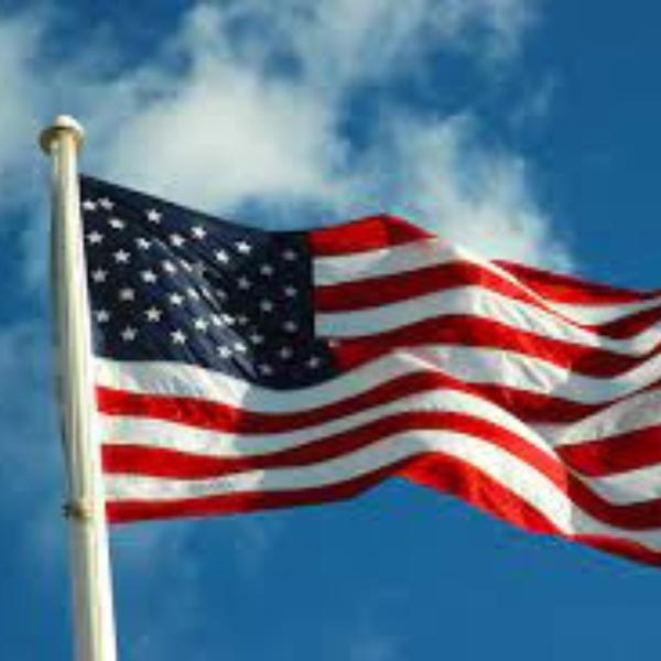 Artwork for Vietnam Veteran News