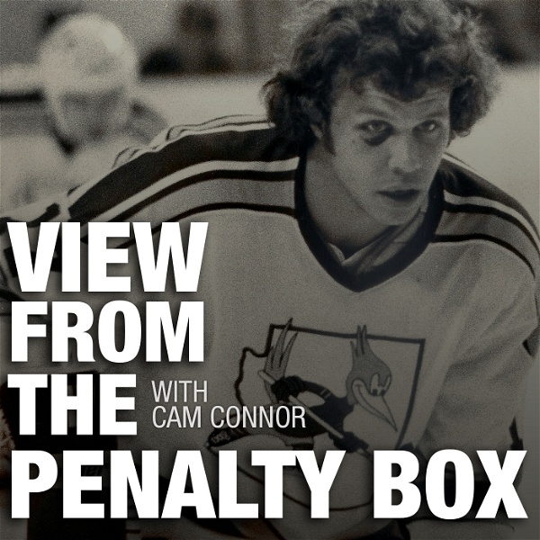 Artwork for View From the Penalty Box