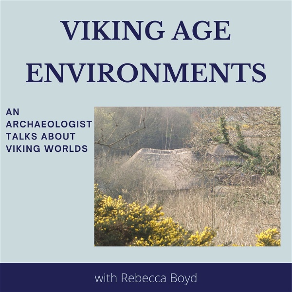 Artwork for Viking Age Environments