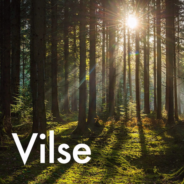 Artwork for Vilse