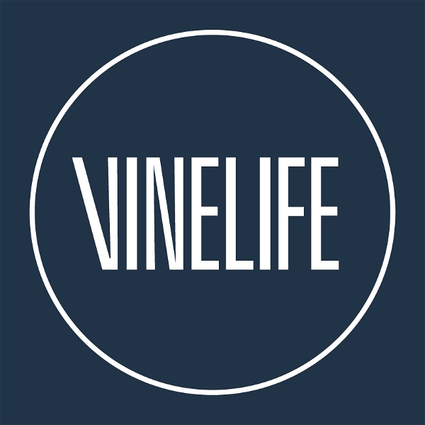Artwork for Vinelife Church Manchester Podcast
