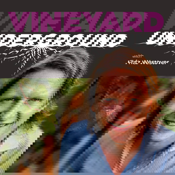 Artwork for Vineyard Underground