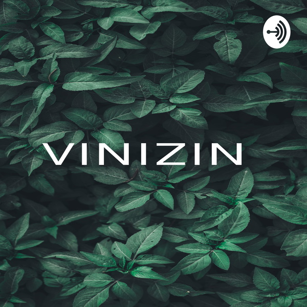 Artwork for VINIZIN
