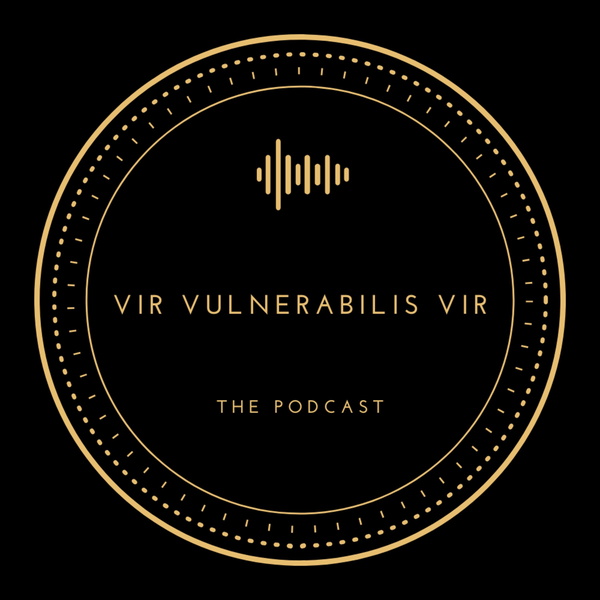 Artwork for Vir Vulnerabilis Vir