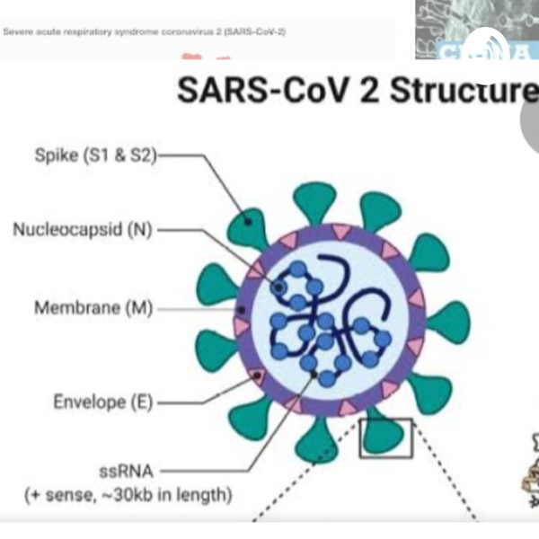 Artwork for Virus SARS