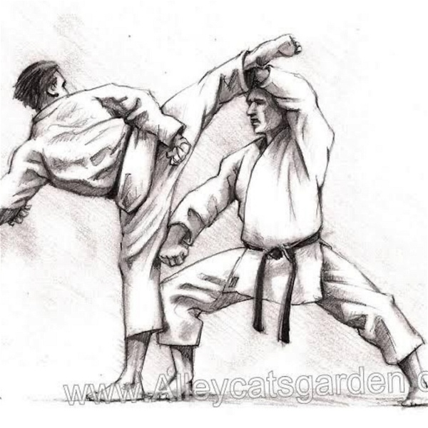 Artwork for Visão do praticante de lutas sobre a prática e seus pontos principais