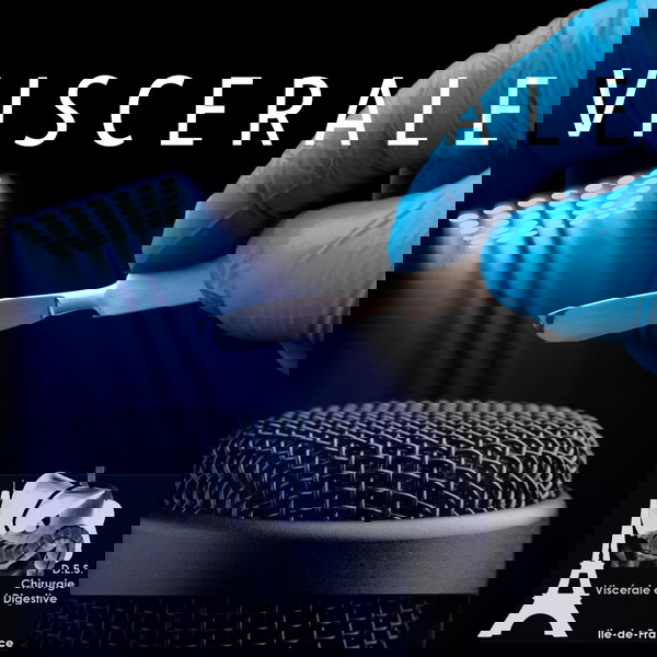 Artwork for Viscerale