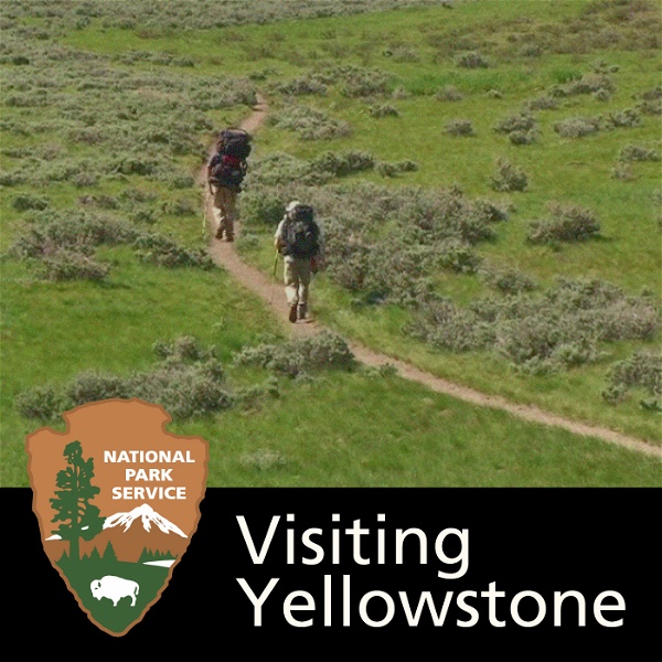 Artwork for Visiting Yellowstone