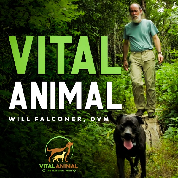 Artwork for Vital Animal Podcast
