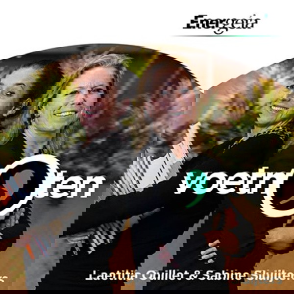 Artwork for Voetnoten