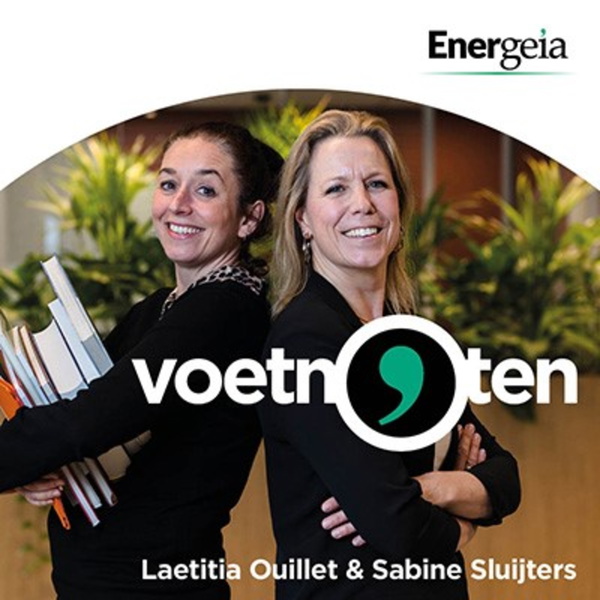 Artwork for Voetnoten