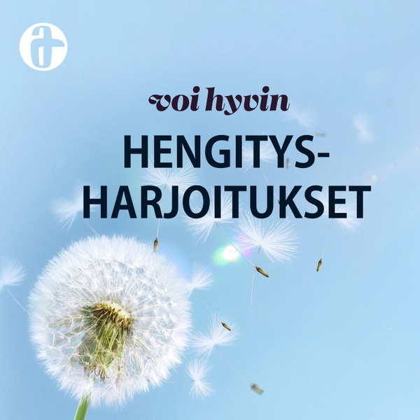 Artwork for Voi hyvin