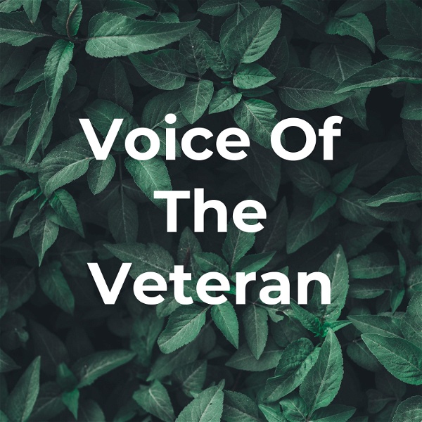 Artwork for Voice Of The Veteran