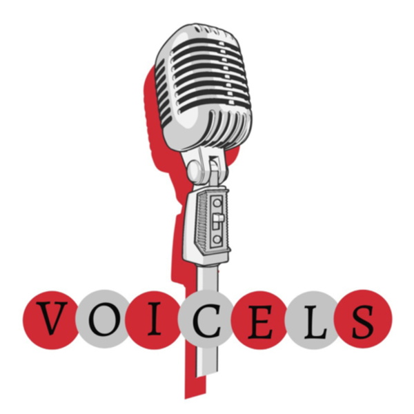 Artwork for VOICELS