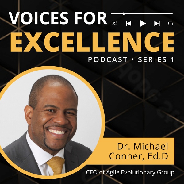 Artwork for Voices for Excellence