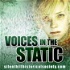 Voices in the Static - A Silent Hill Historical Society Podcast
