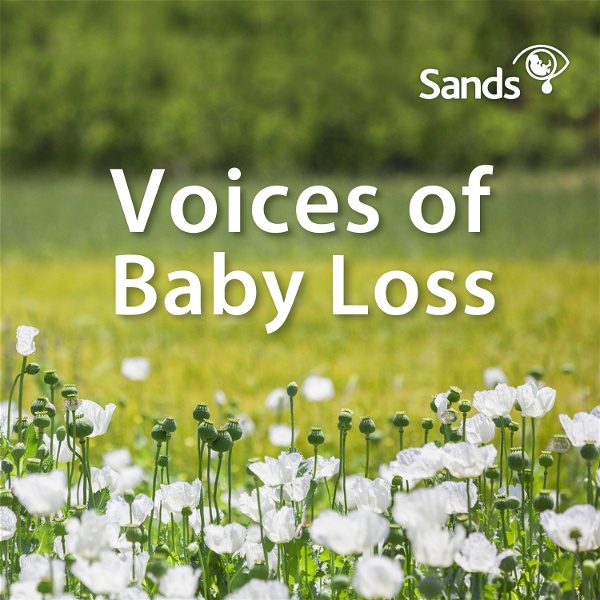 Artwork for Voices of Baby Loss