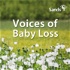 Voices of Baby Loss