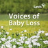 Voices of Baby Loss