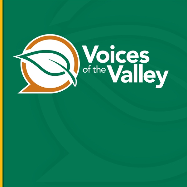 Artwork for Voices of the Valley