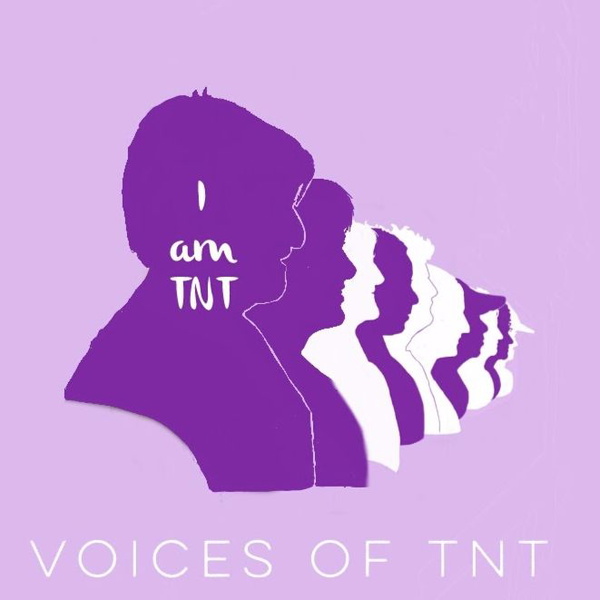 Artwork for Voices of TNT