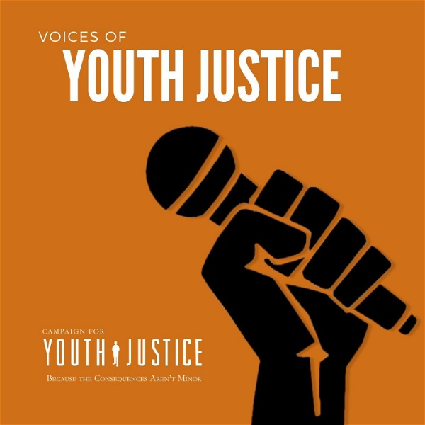 Artwork for Voices of Youth Justice