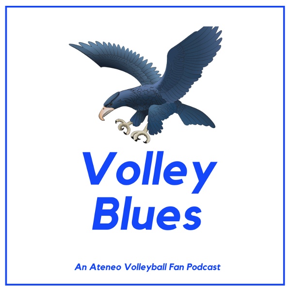 Artwork for Volley Blues