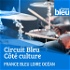 Côté Culture - France Bleu Loire Océan