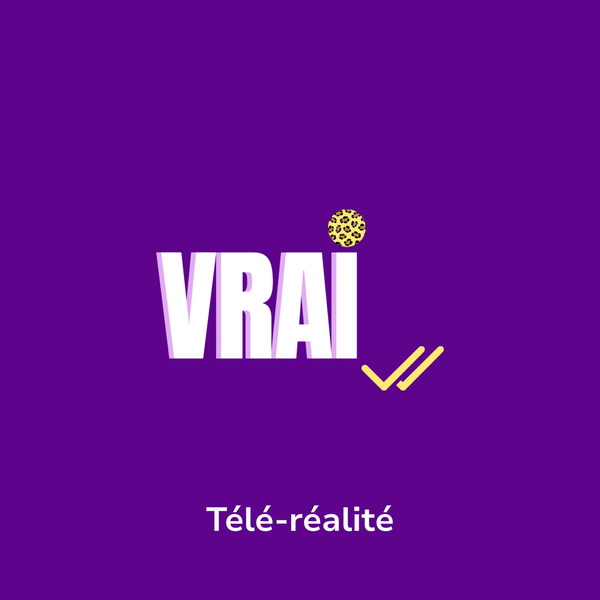 Artwork for Vrai, le Podcast
