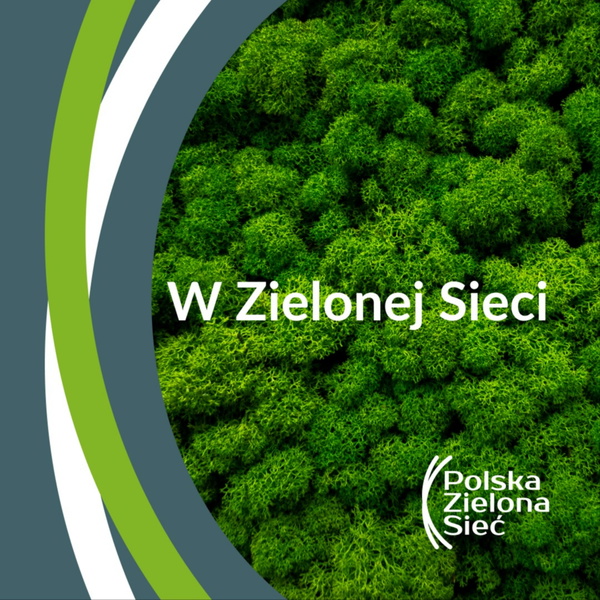 Artwork for W Zielonej Sieci