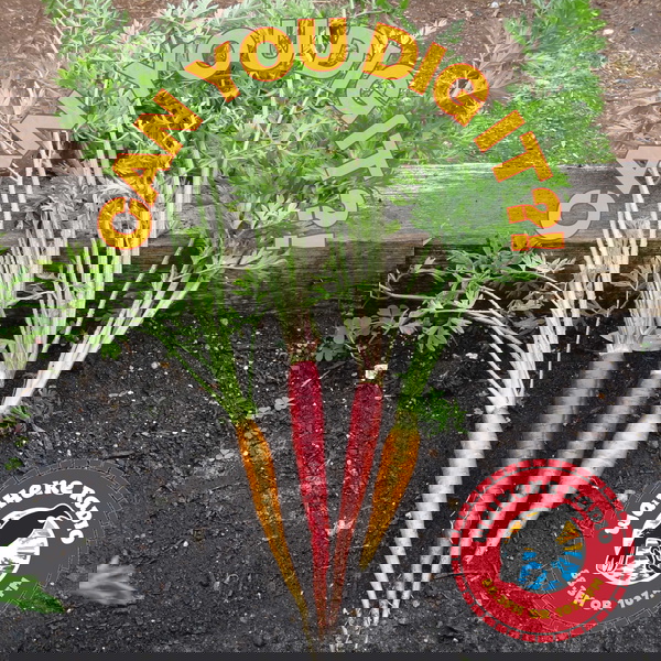 Artwork for Waiheke, Can You Dig It?!