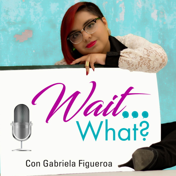 Artwork for Wait What?