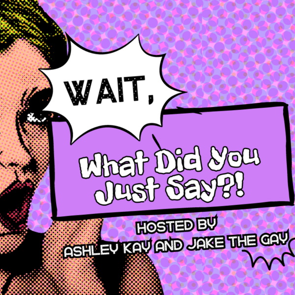 Artwork for Wait, What Did You Just Say?