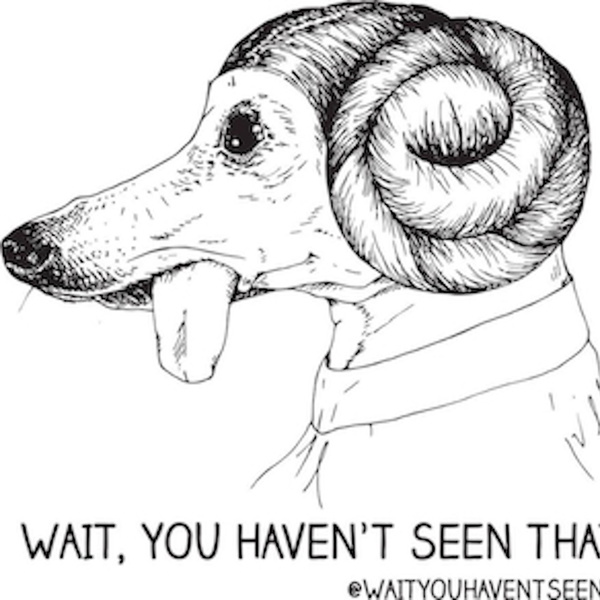 Artwork for Wait, You Haven't Seen That?!