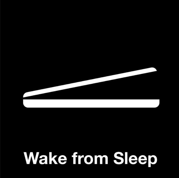 Artwork for Wake from Sleep