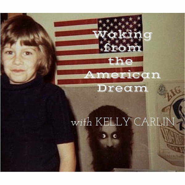 Artwork for Waking from the American Dream